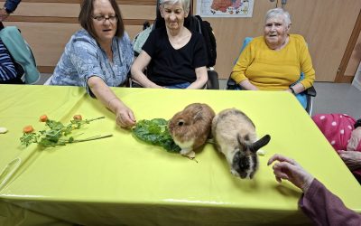 Les animaux s’invitent à l’animation